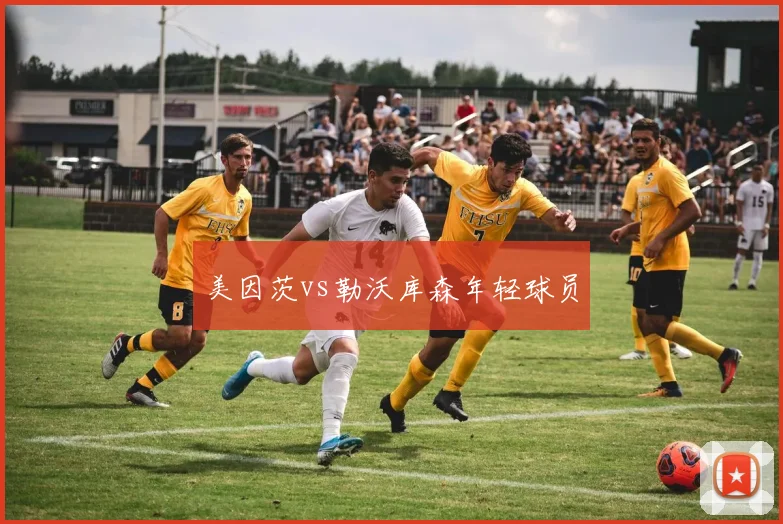 美因茨vs勒沃库森年轻球员