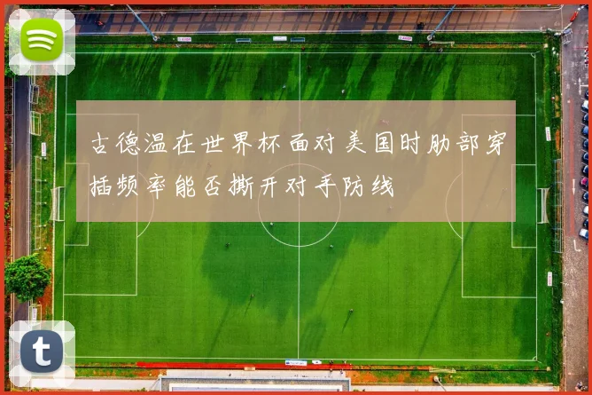 古德温在世界杯面对美国时肋部穿插频率能否撕开对手防线