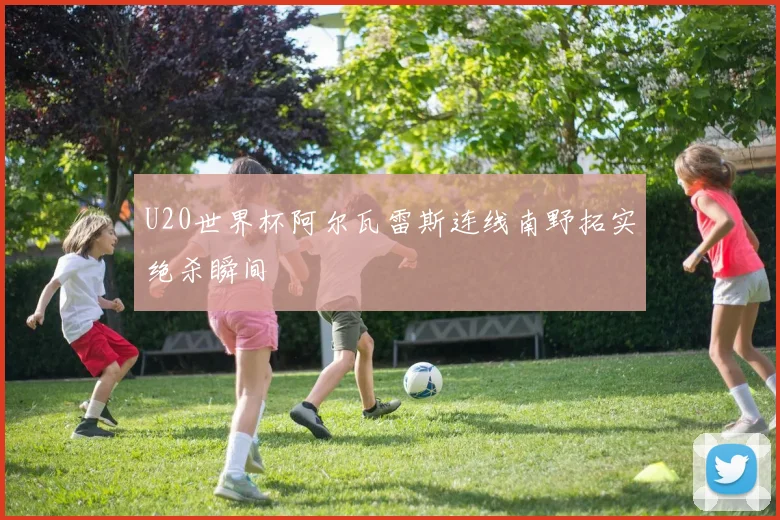 U20世界杯阿尔瓦雷斯连线南野拓实绝杀瞬间